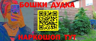 мдпв Дубна