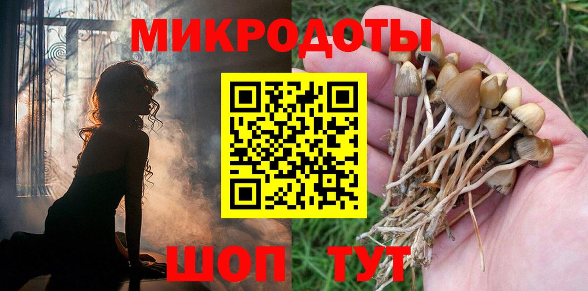 Псилоцибиновые грибы прущие грибы Кинель